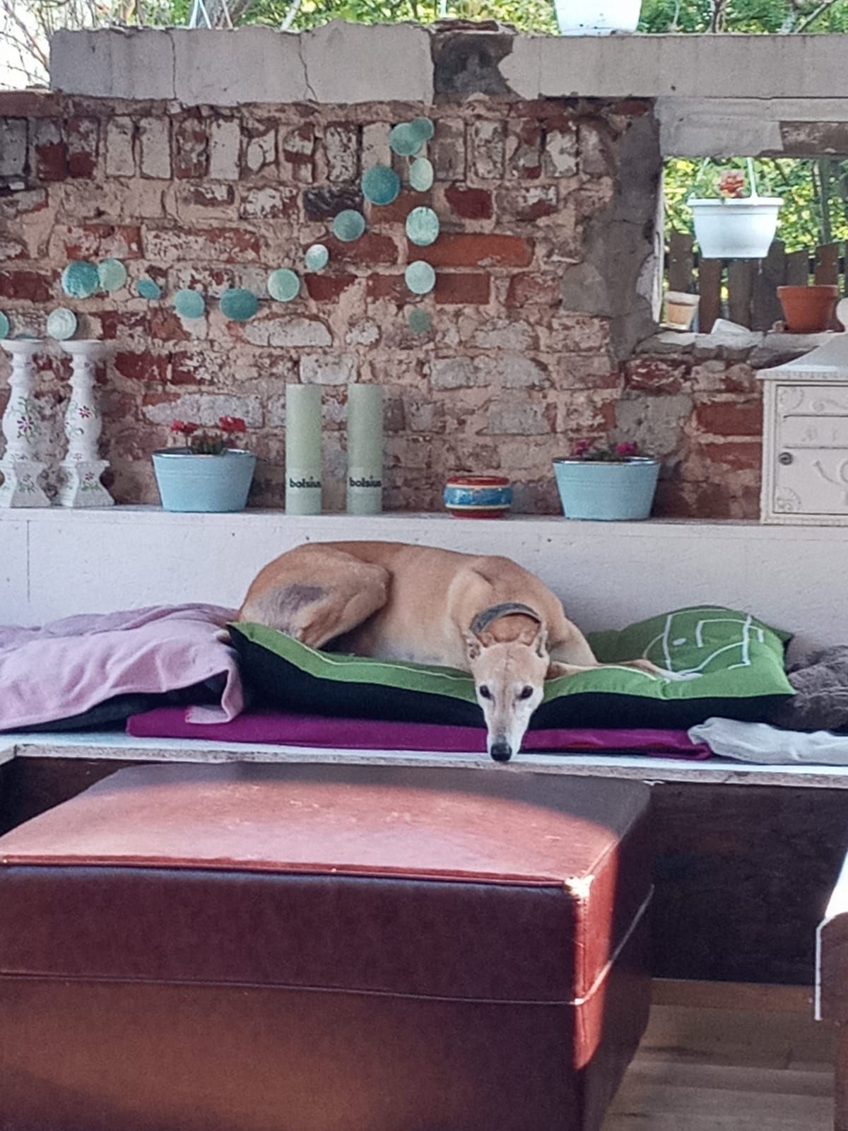 Heute wollen wir Megan vorstellen